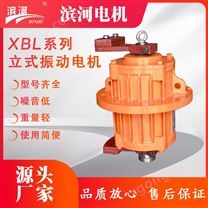 旋振篩設(shè)備XBL系列三相異步立式電機(jī)