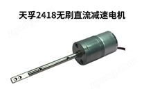 2418微型無(wú)刷減速電機(jī)