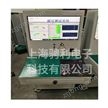 國產(chǎn)耐壓測試系統(tǒng)臺 江浙滬可上門對接