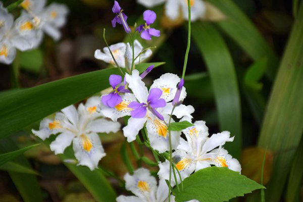 《國家鼓勵發(fā)展的重大環(huán)保技術(shù)裝備目錄（2025年版）》發(fā)布！