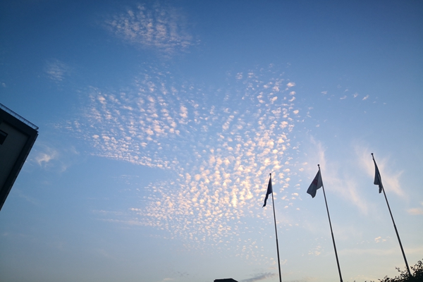 福建省智能机器人产业联盟成立 未来生活注入科技新力量